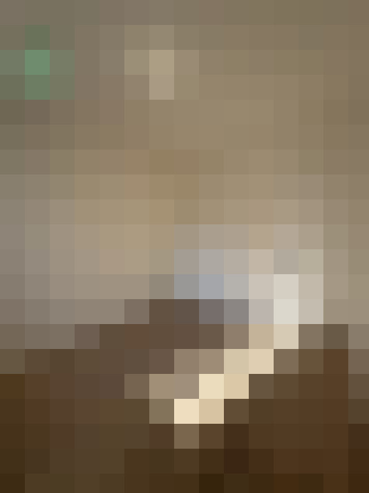  / #16