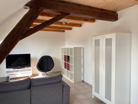Appartement à Bartenheim