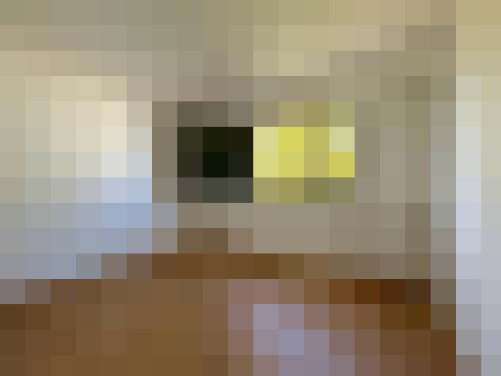  / #8