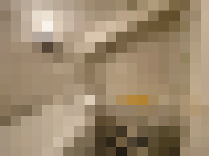  / #11