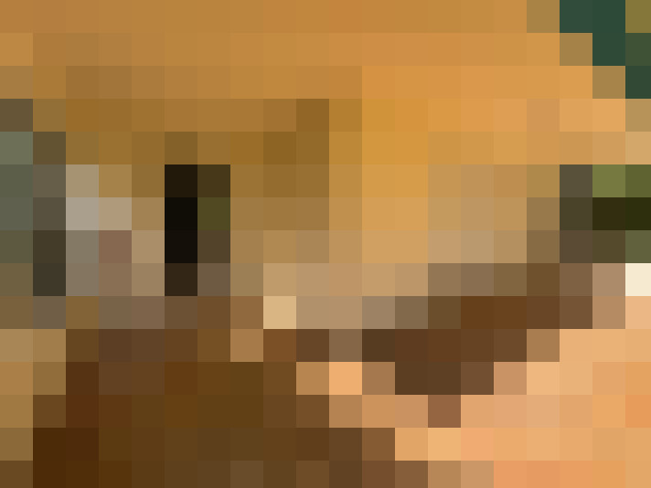  / #8