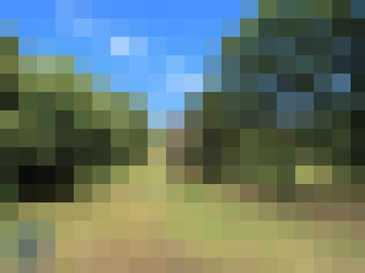  / #7