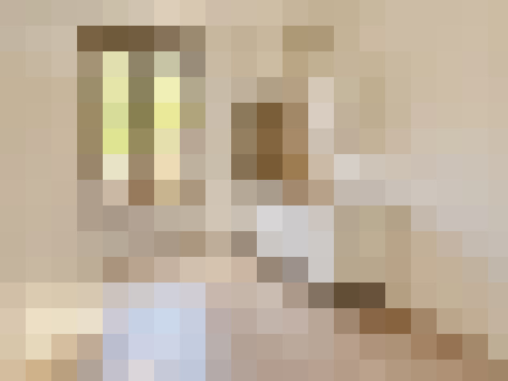  / #6