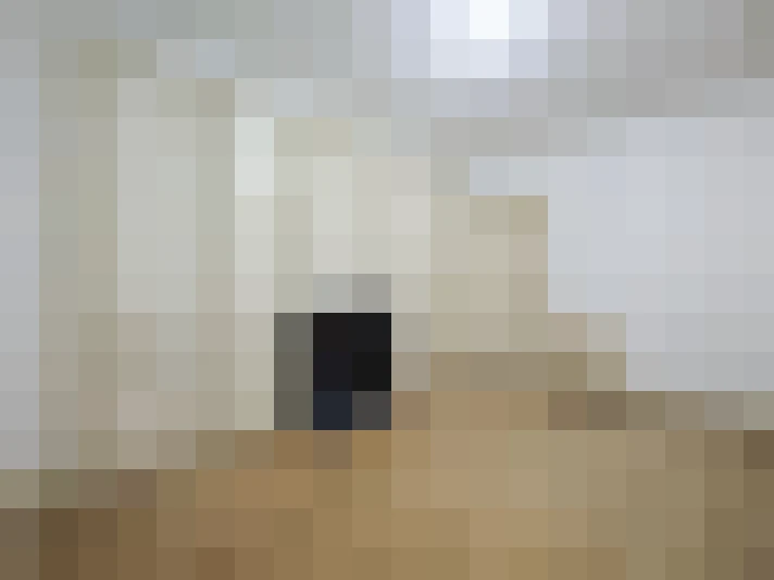  / #7