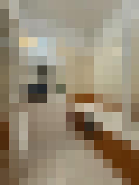  / #12