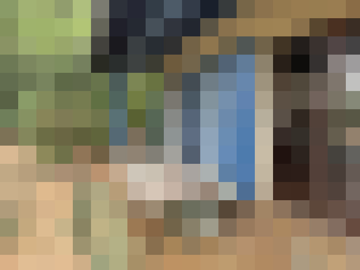  / #17