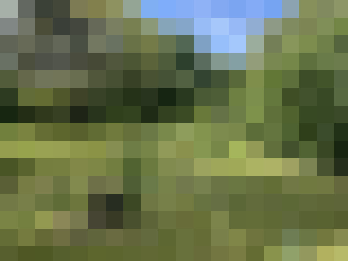  / #18