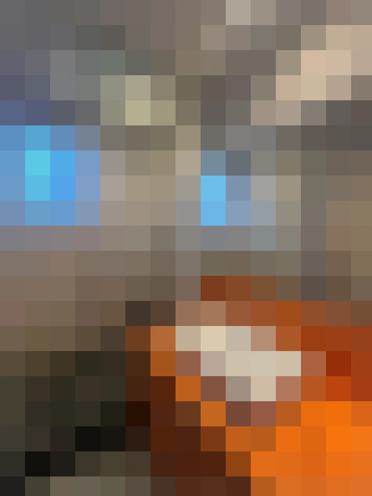  / #8