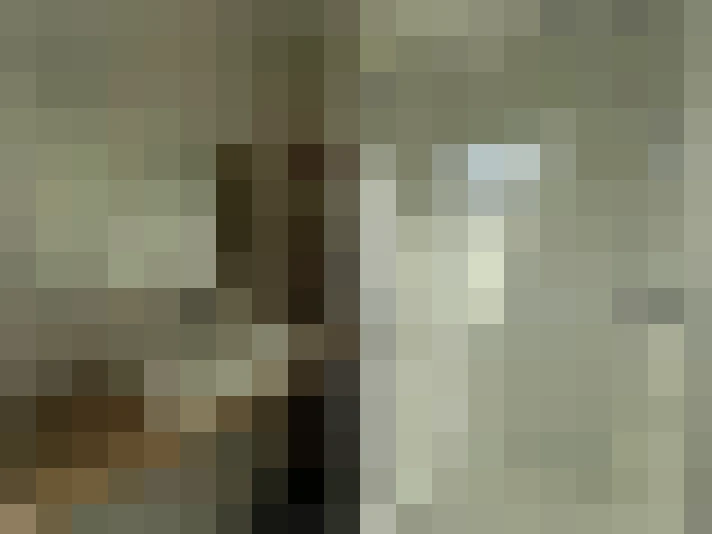  / #11