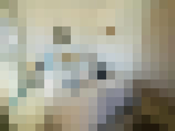  / #22