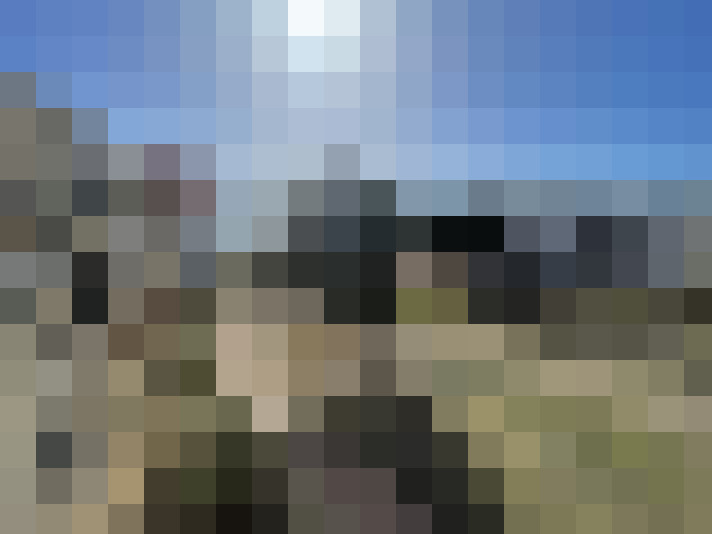  / #15