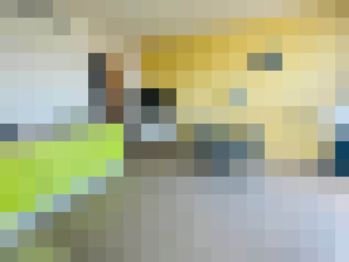 / #16
