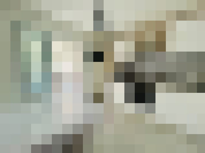  / #7