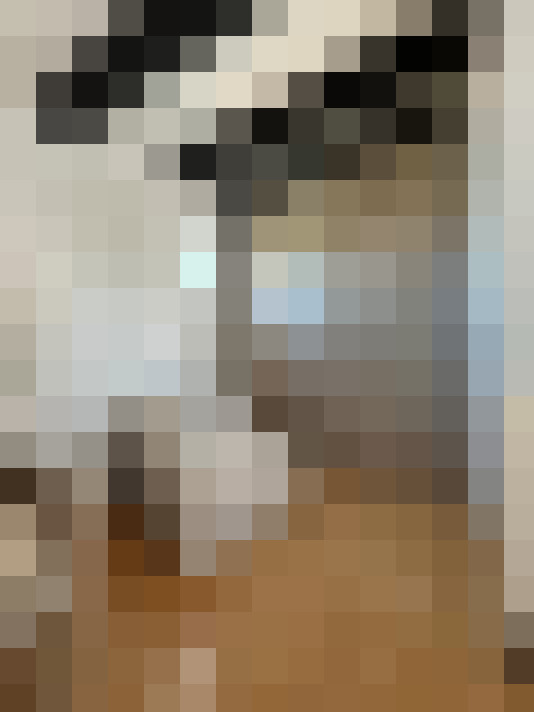  / #18