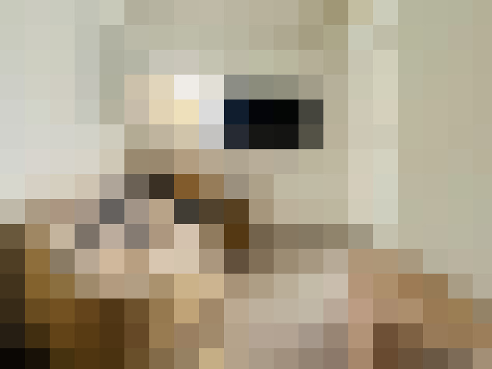  / #17