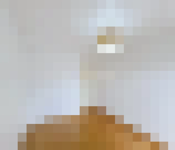  / #11