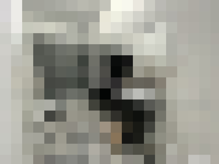  / #8
