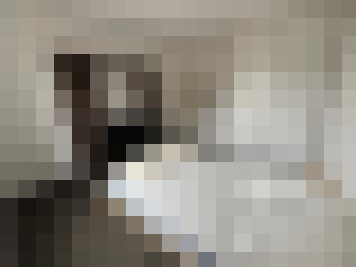  / #7