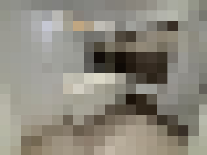 / #8