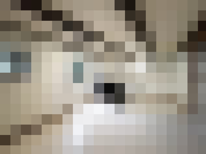  / #8