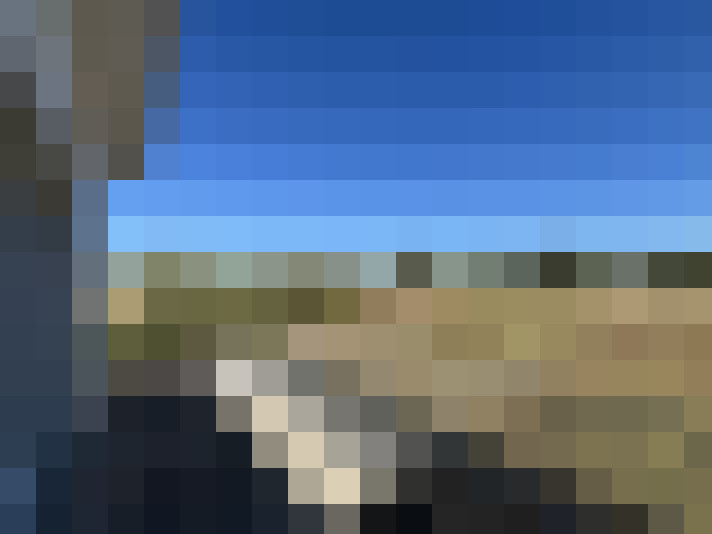  / #8