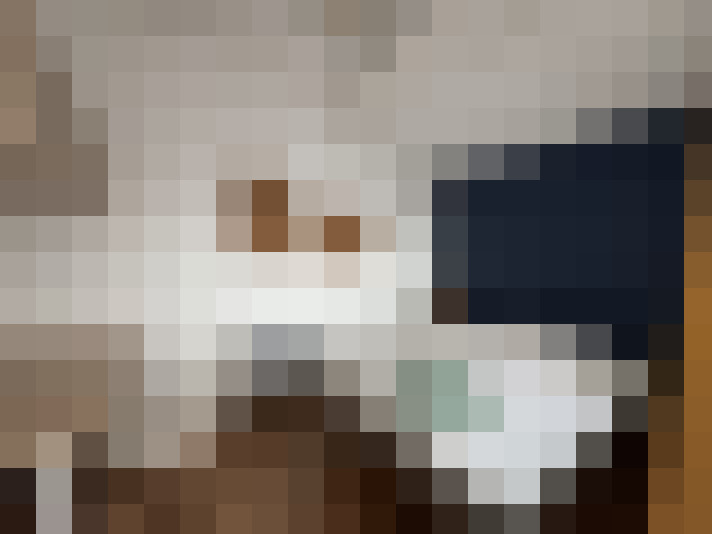  / #19