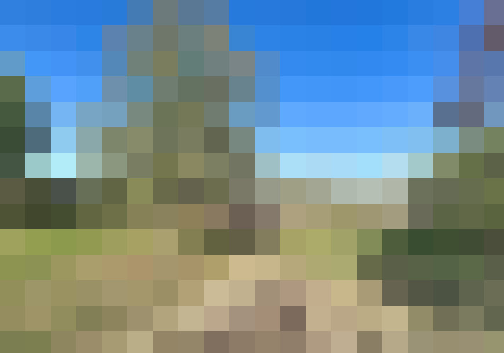  / #16