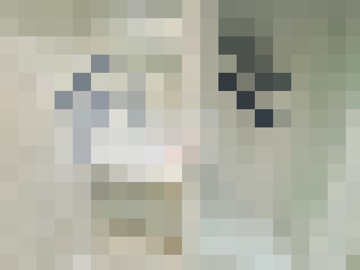  / #15