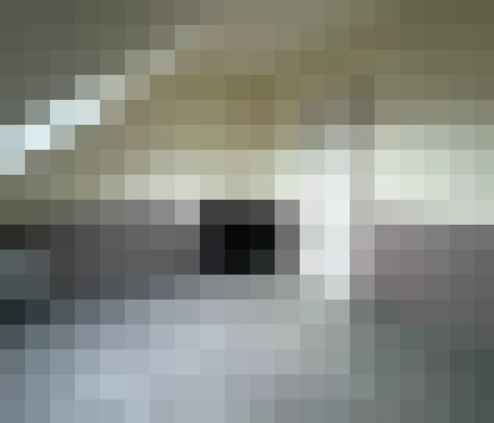  / #14