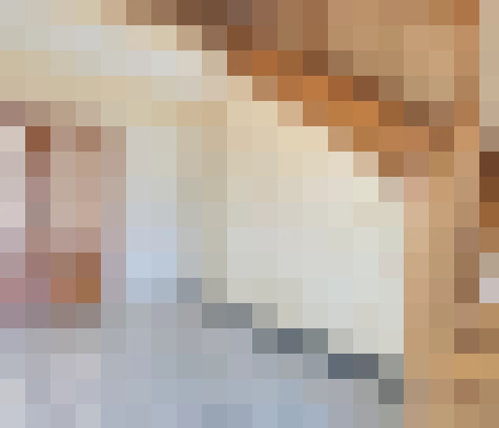  / #8