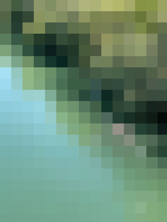  / #8