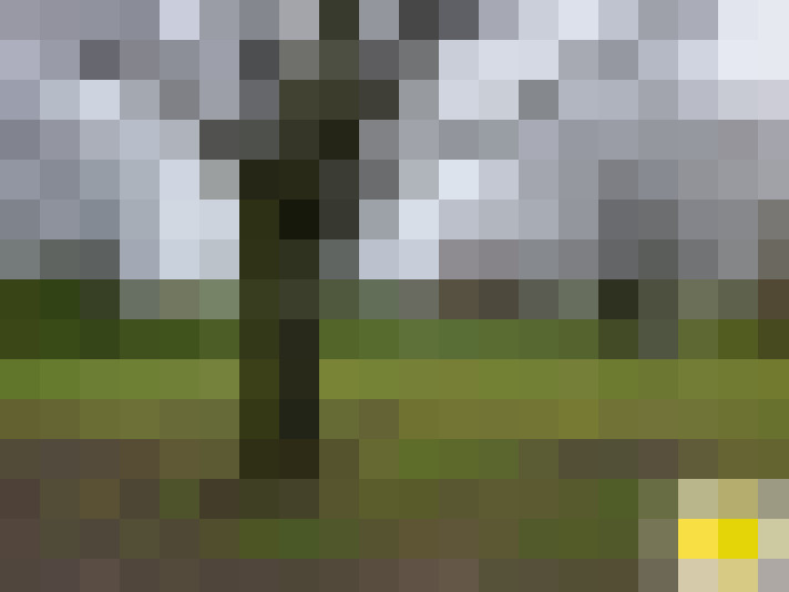  / #16