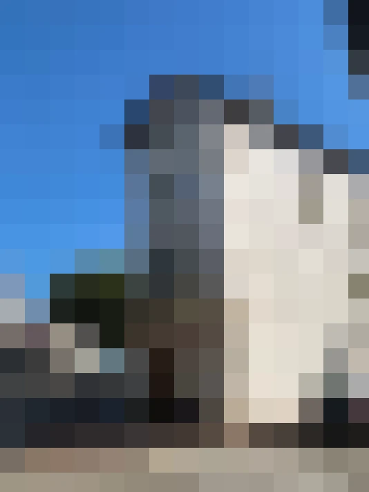  / #11