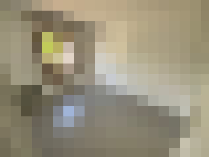  / #10