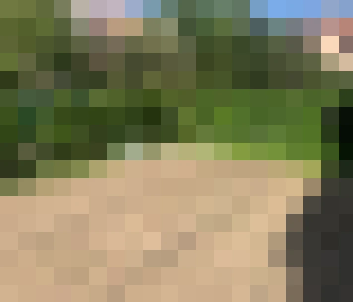  / #11