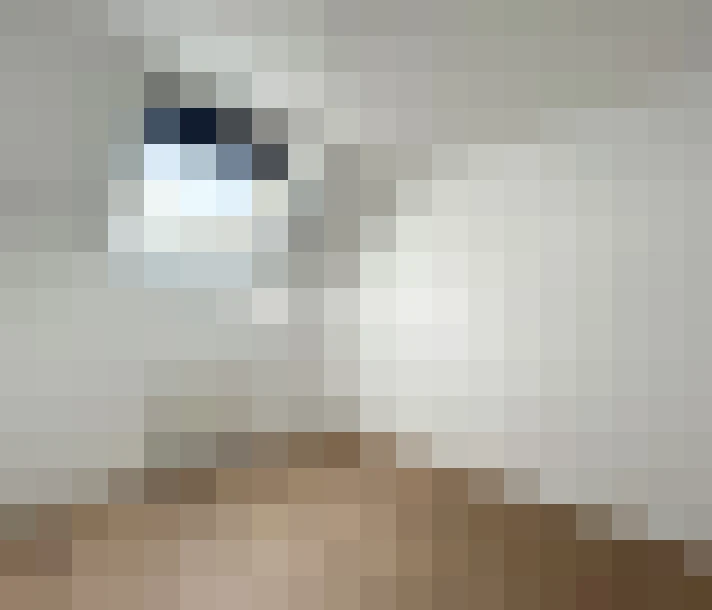  / #13