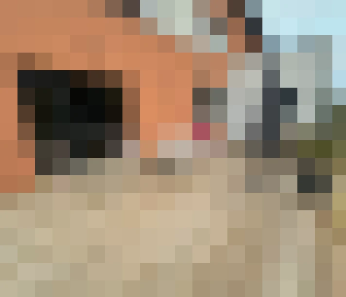  / #7