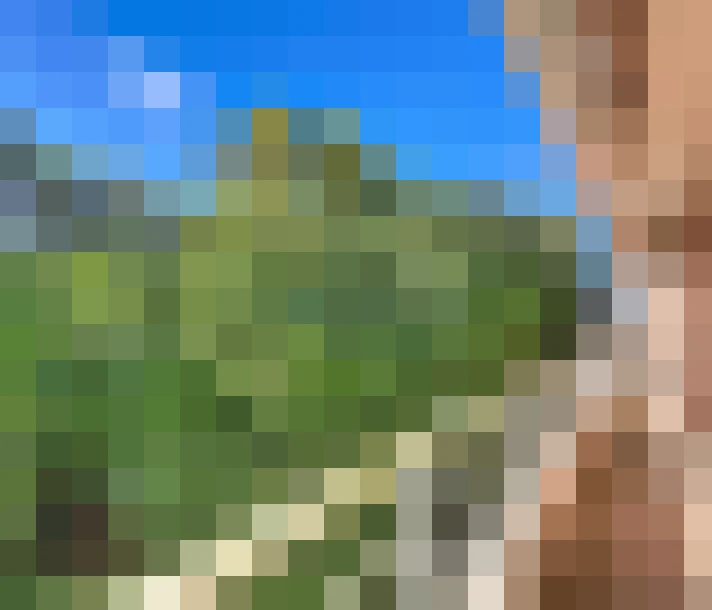 / #7