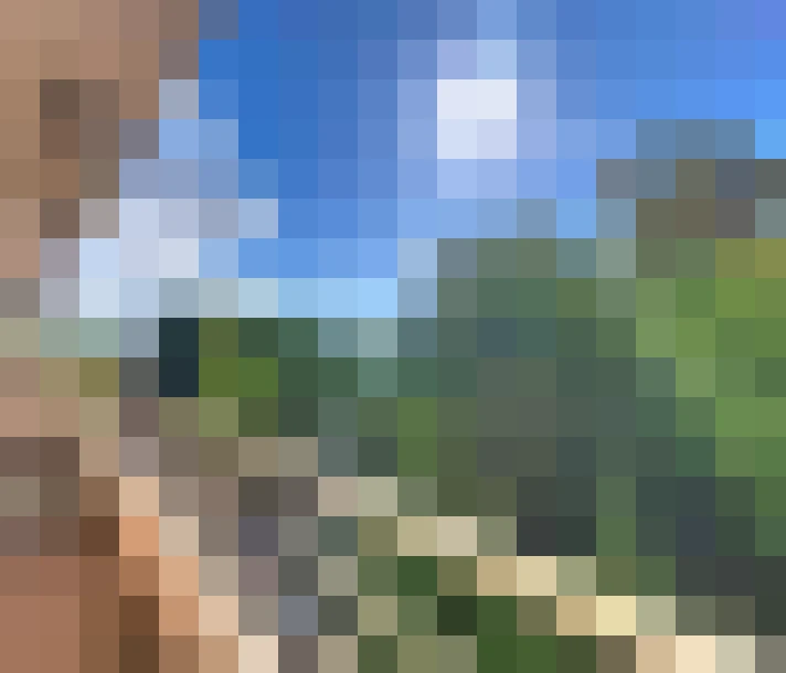  / #6