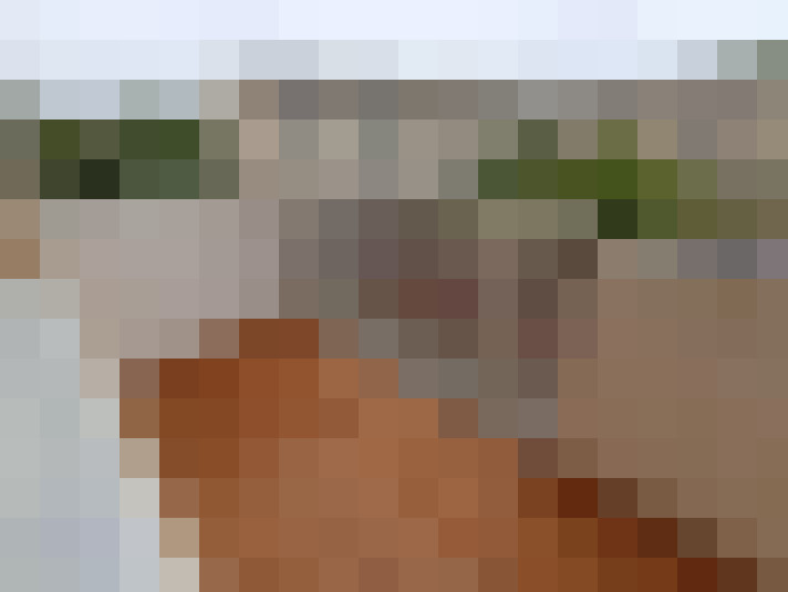  / #6