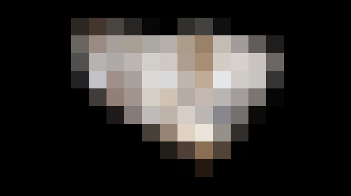  / #6