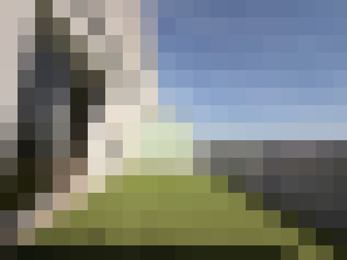  / #7