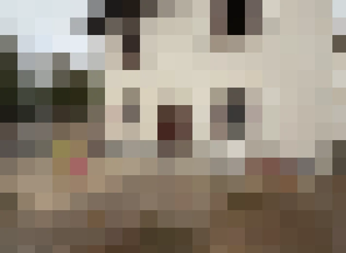  / #7