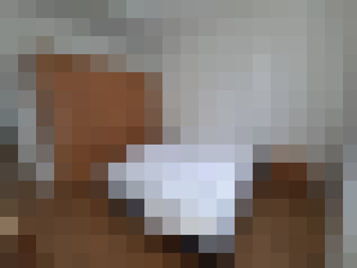  / #6