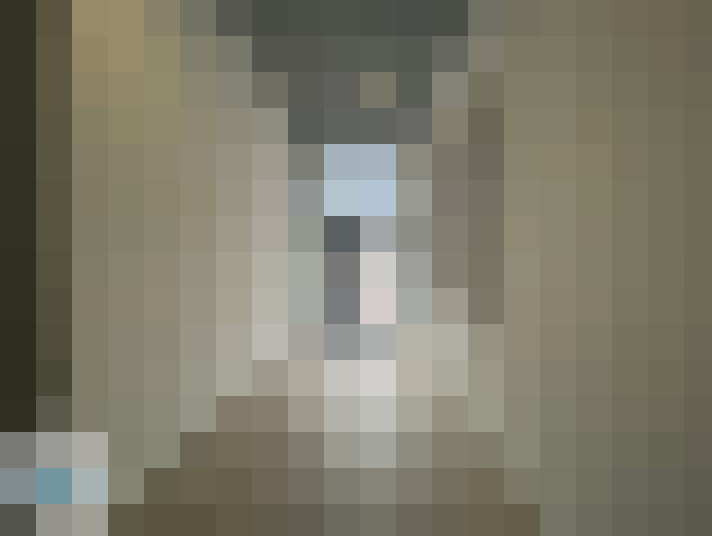  / #13