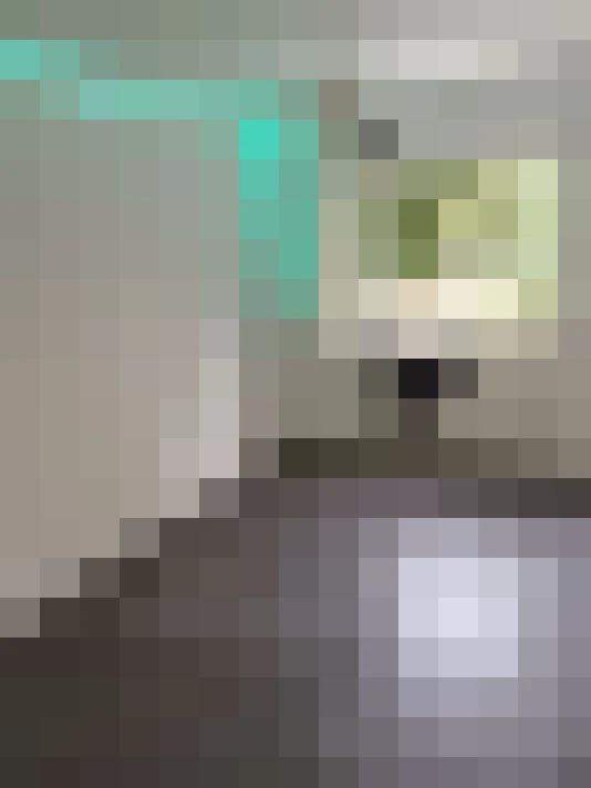  / #8