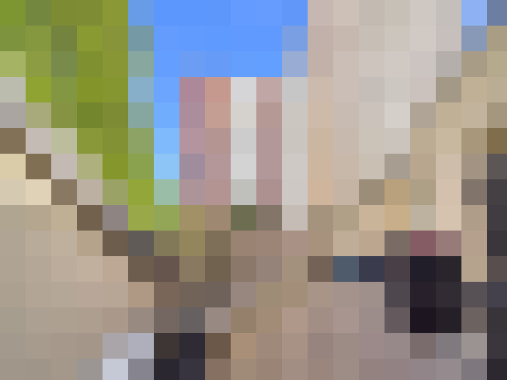  / #14