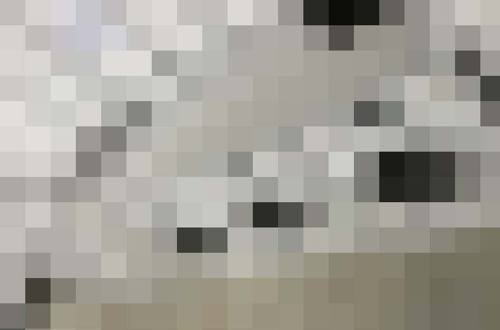  / #15