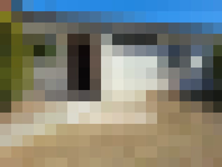  / #11