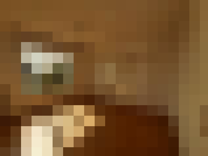  / #5
